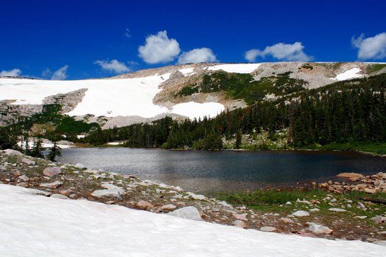 Medicine Bow National Forest